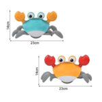 crab sensory toy