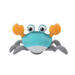 crab sensory toy