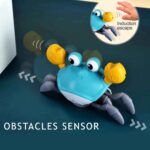 crab sensory toy