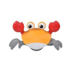 crab sensory toy