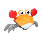 crab sensory toy