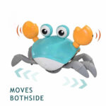 crab sensory toy
