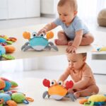 crab sensory toy