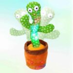 weebaby cactus