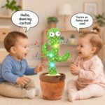 weebaby cactus