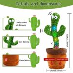 weebaby cactus
