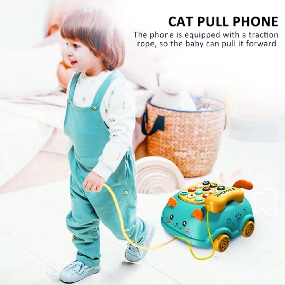 Cat Pull Wired - 4