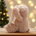 Peekaboo Teddy Bear Toy (4)