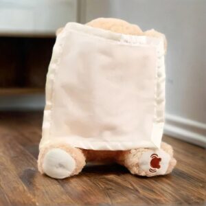 Peekaboo Teddy Bear Toy