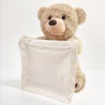 Peekaboo Teddy Bear Toy (4)