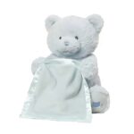 Peekaboo Teddy Bear Toy (4)
