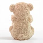 Peekaboo Teddy Bear Toy (4)
