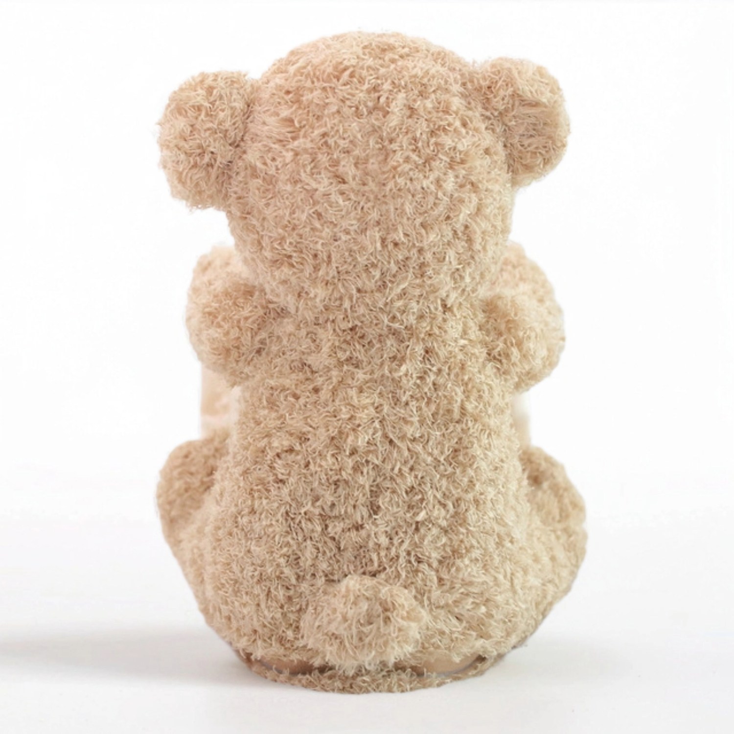 Peekaboo Teddy Bear Toy (8)