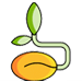 Seed Supply
